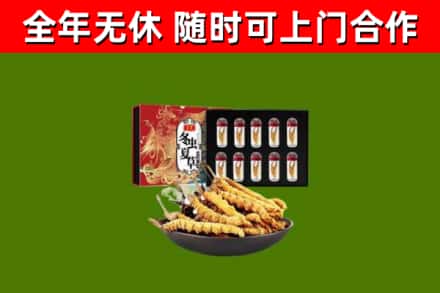 海南省回收冬虫夏草价格