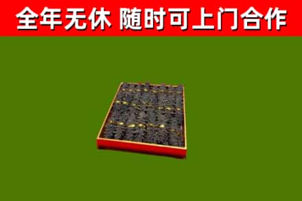 海南省回收海参